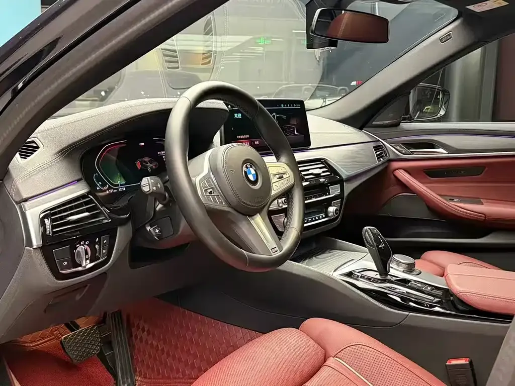BMW 5 Series 2023 из CN, фото 5