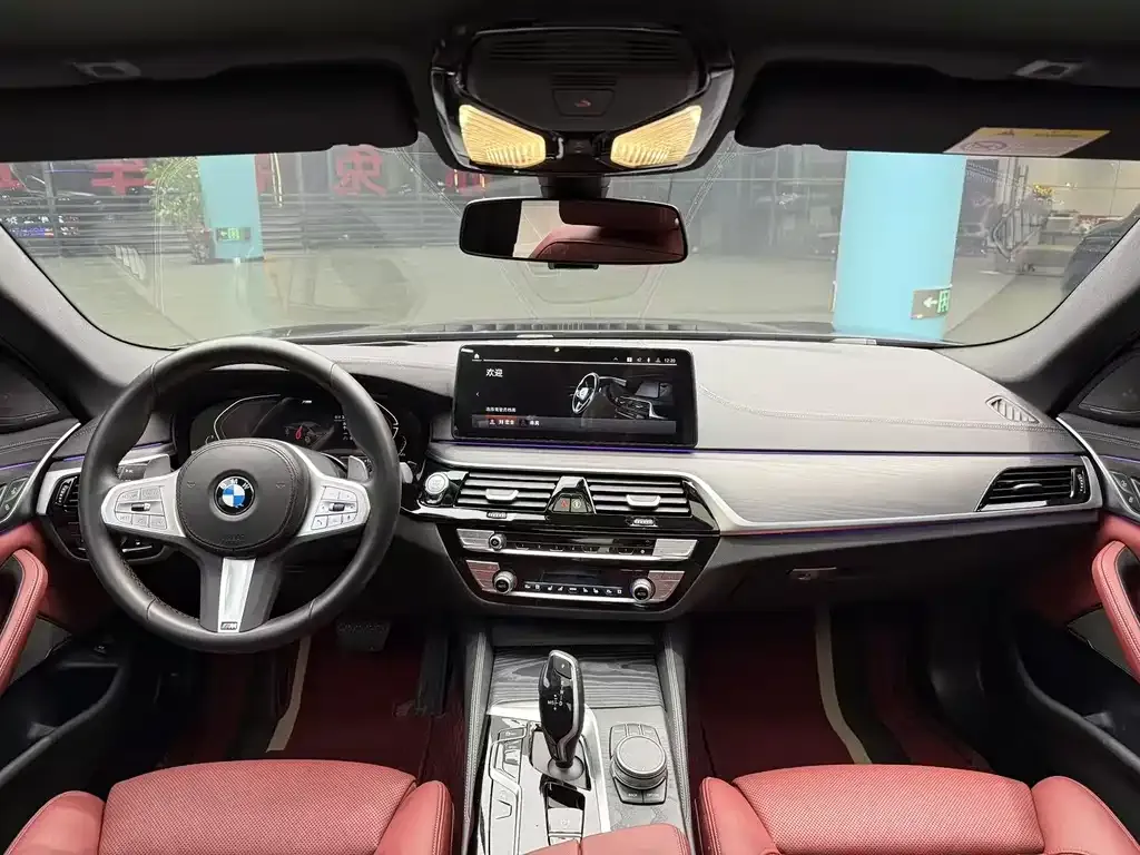 BMW 5 Series 2023 из CN, фото 7