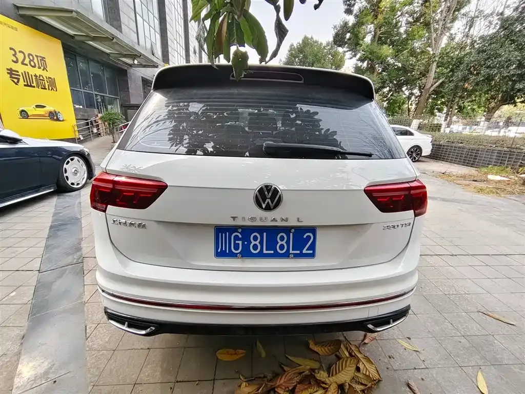 Volkswagen Tiguan L 2024 из CN, фото 4
