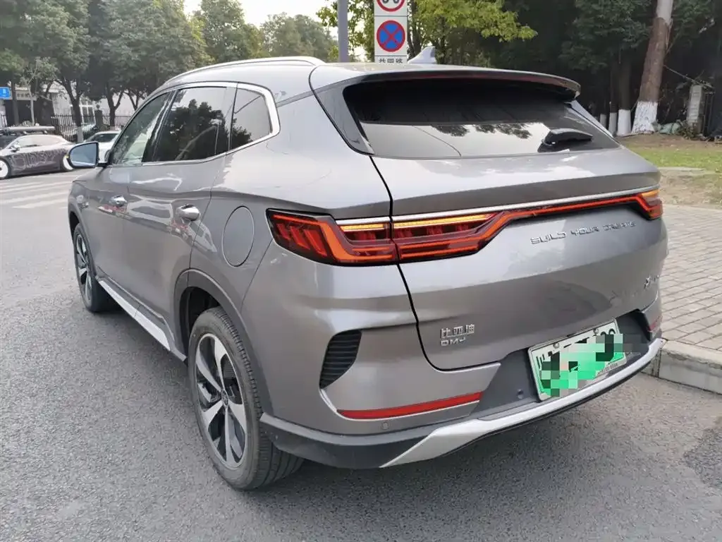 BYD PLUS New Energy 2023 из CN, фото 2