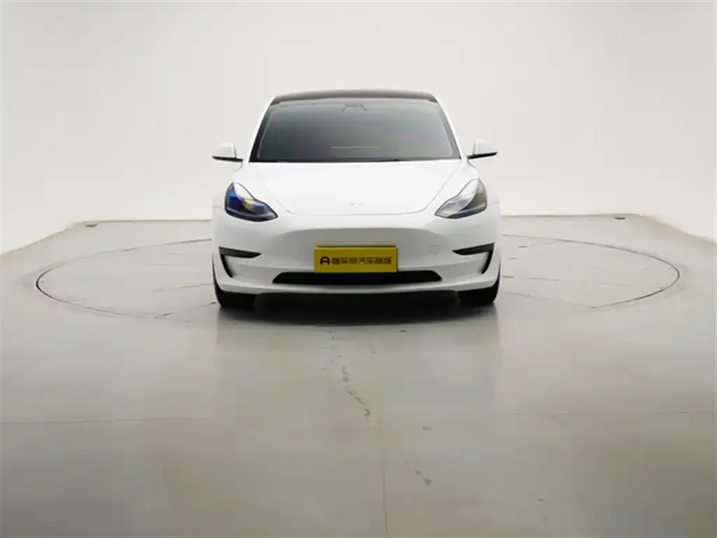 Tesla Model 3 2021 из CN, фото 2