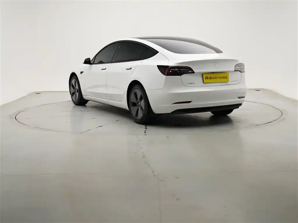 Tesla Model 3 2021 из CN, фото 9