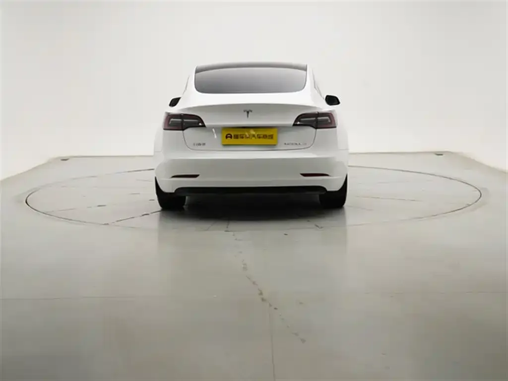 Tesla Model 3 2021 из CN, фото 10
