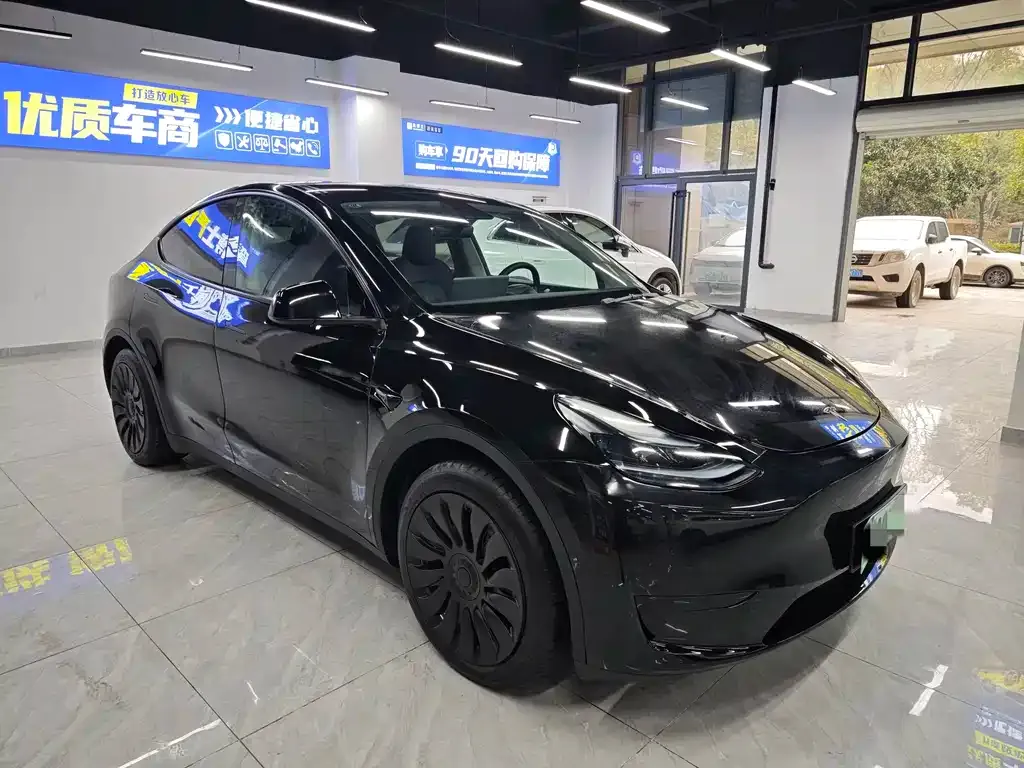 Tesla Model Y 2023 из CN, фото 9