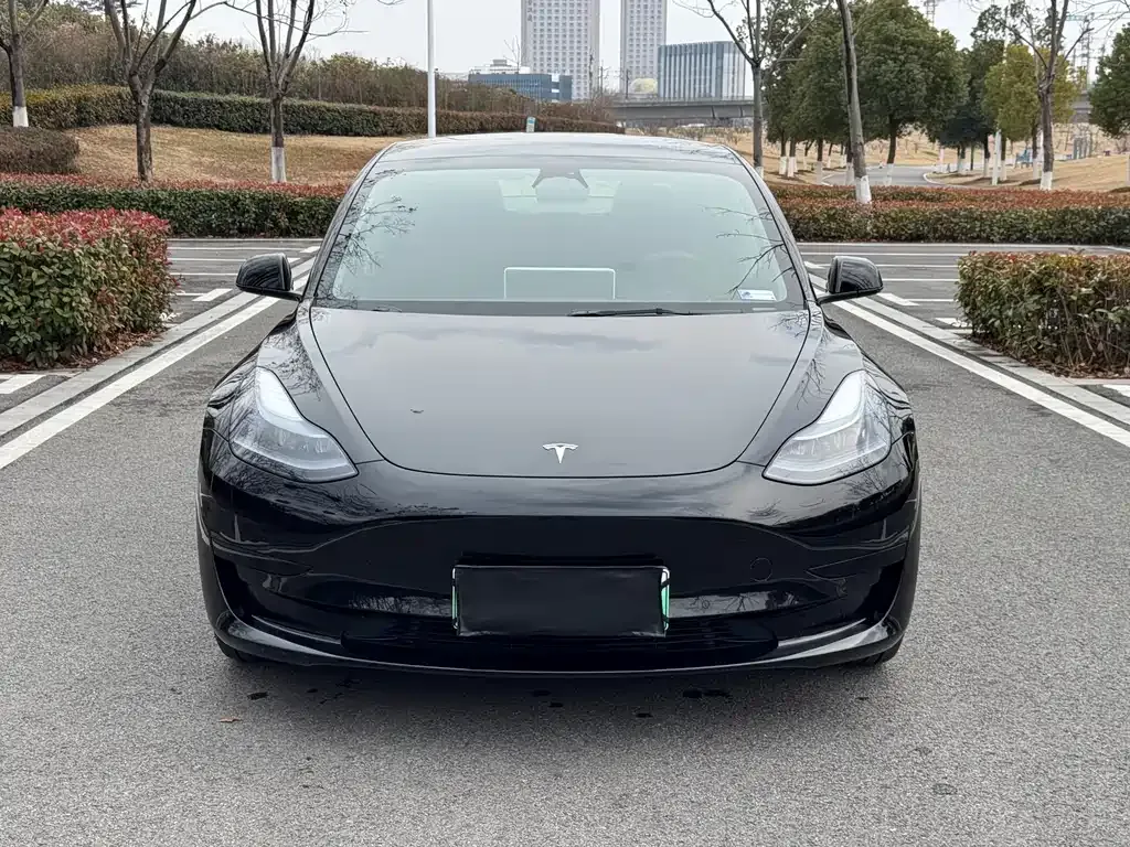 Tesla Model 3 2023 из CN, фото 4