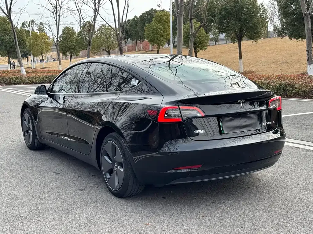 Tesla Model 3 2023 из CN, фото 3