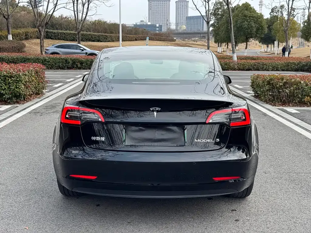 Tesla Model 3 2023 из CN, фото 10