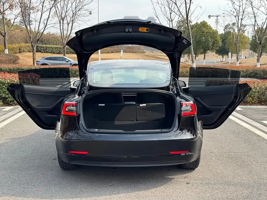 Tesla Model 3 2023 из CN, фото 6