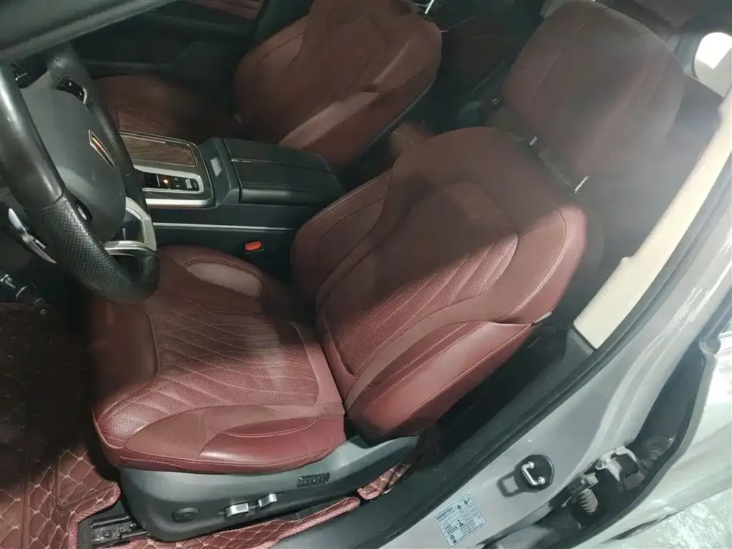 Hongqi HS5 2023 из CN, фото 6