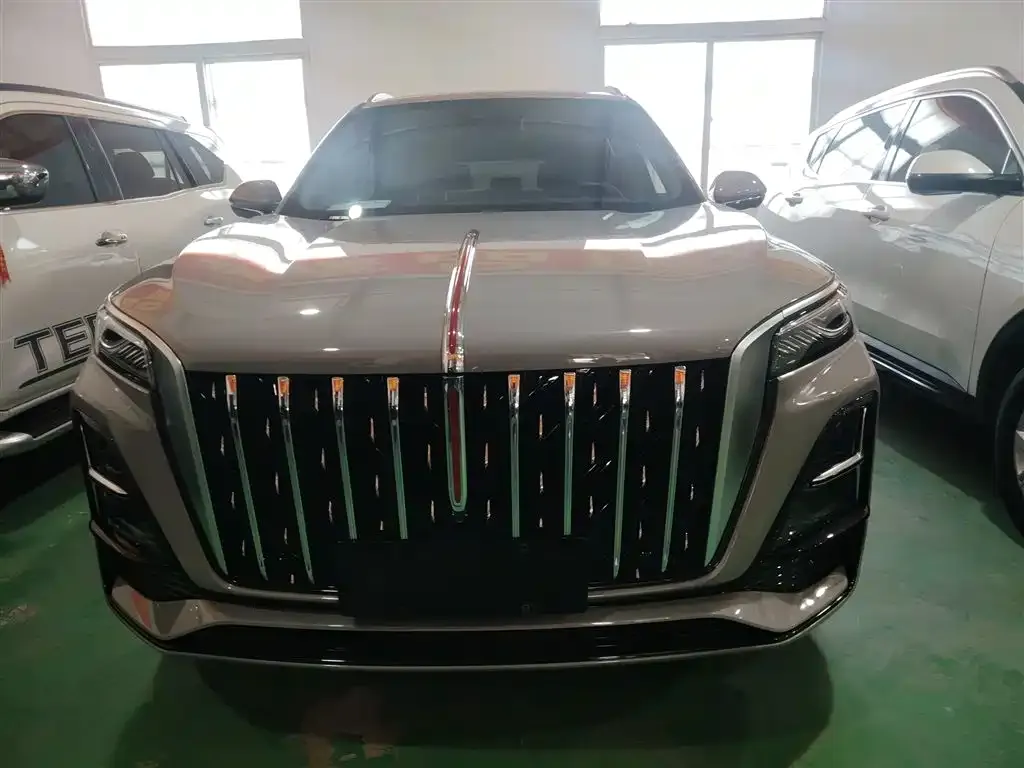 Hongqi HS5 2023 из CN, фото 3