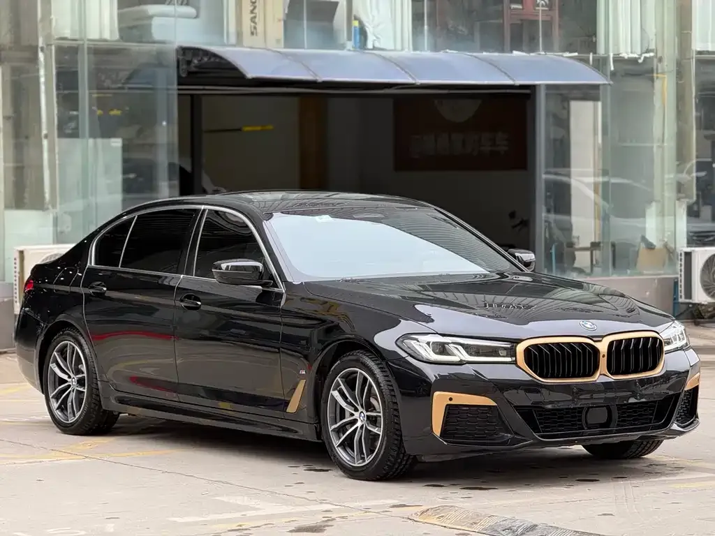 BMW 5 Series New Energy — фото 8