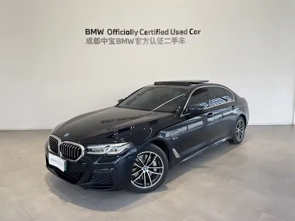 BMW 5 Series New Energy 2023 из CN, фото 1