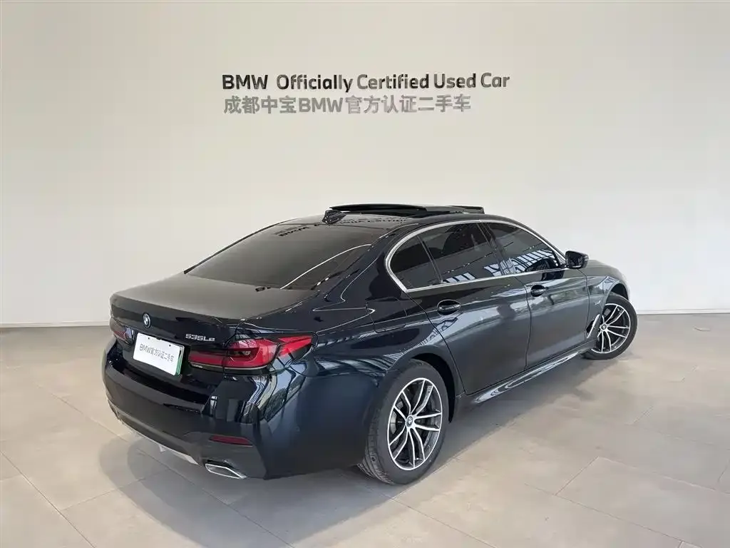 BMW 5 Series New Energy 2023 из CN, фото 4