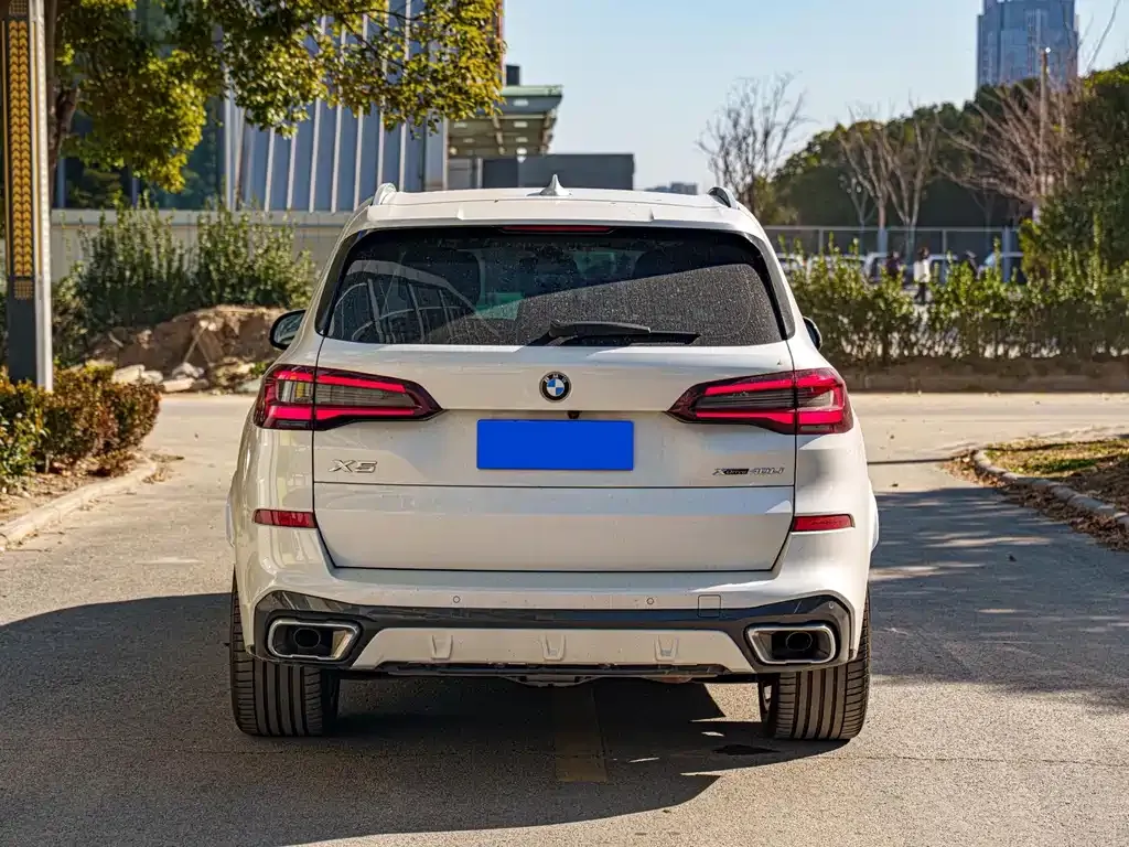 BMW X5 2023 из CN, фото 2