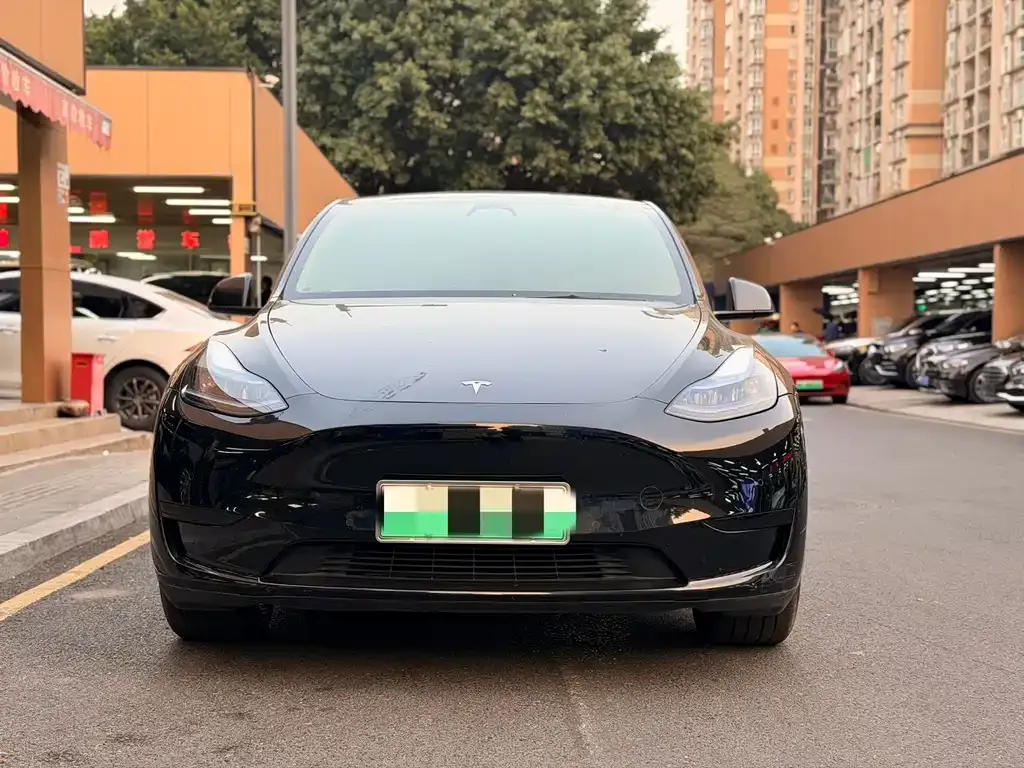 Tesla Model Y — фото 9