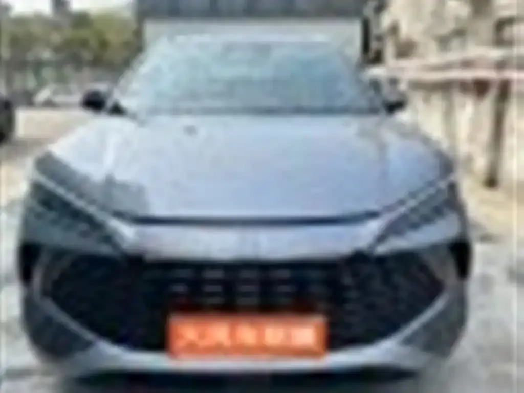BYD L DM-i 2025 из CN, фото 2