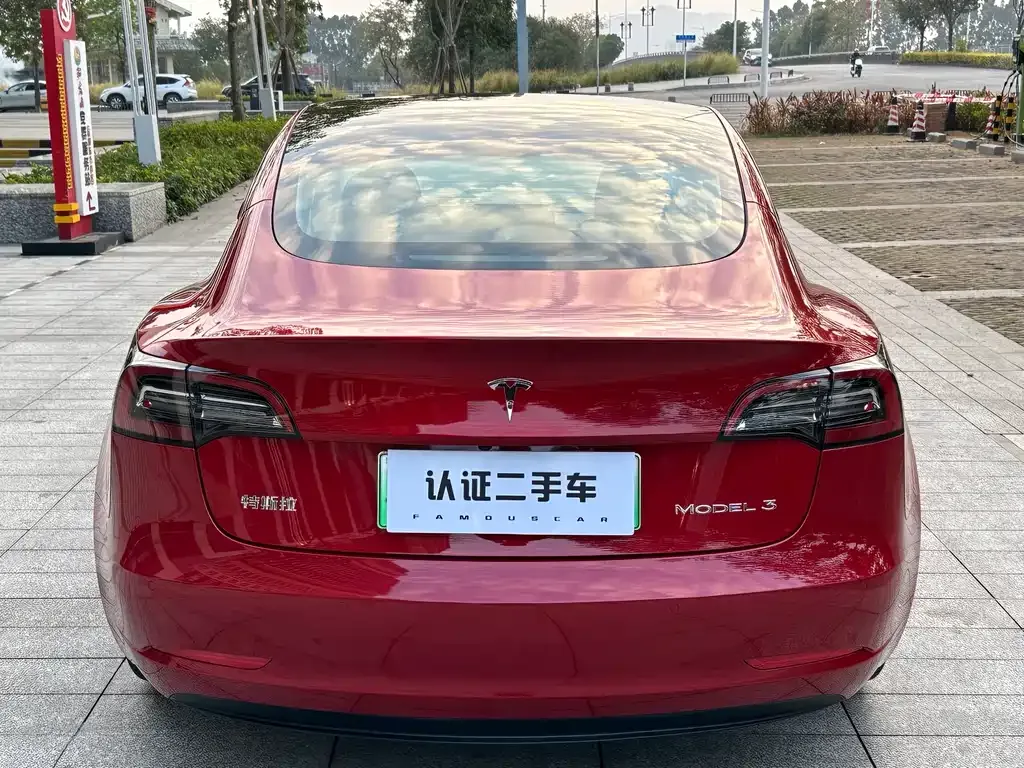 Tesla Model 3 2021 из CN, фото 8