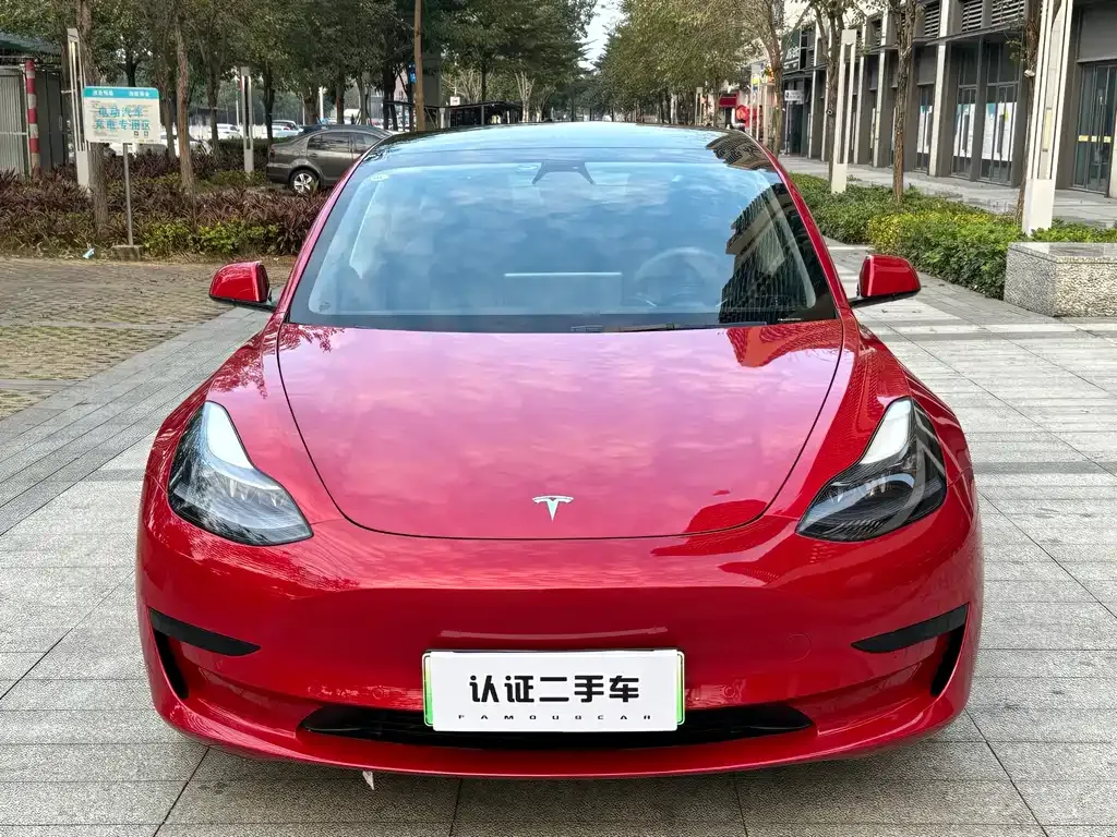 Tesla Model 3 2021 из CN, фото 4