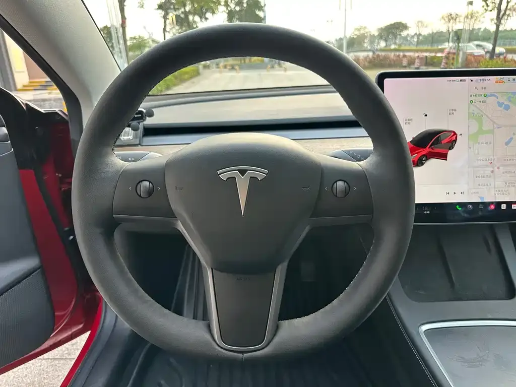 Tesla Model 3 2021 из CN, фото 6