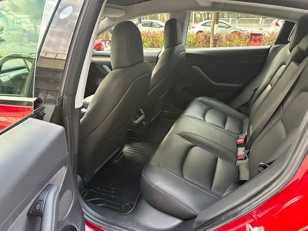 Tesla Model 3 2021 из CN, фото 3