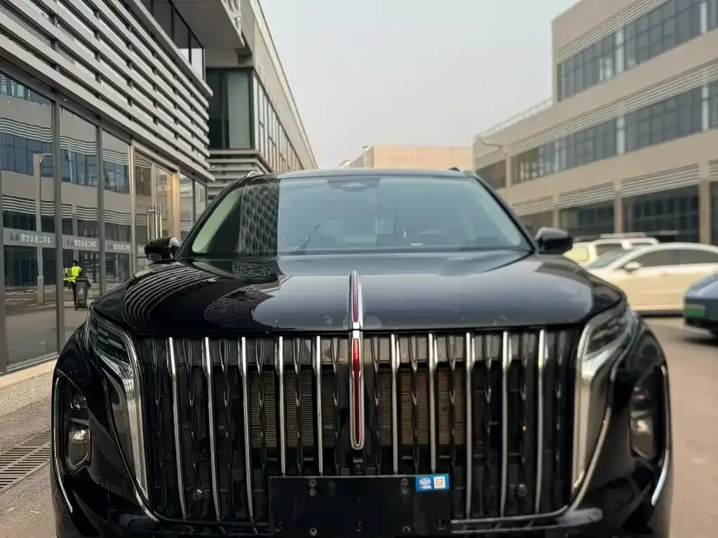 Hongqi HS7 PHEV 2024 из CN, фото 6