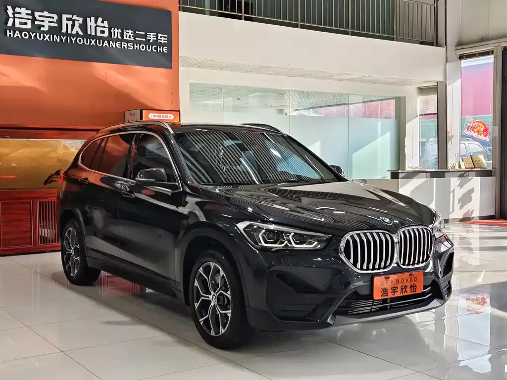 BMW X1 2021 из CN, фото 6