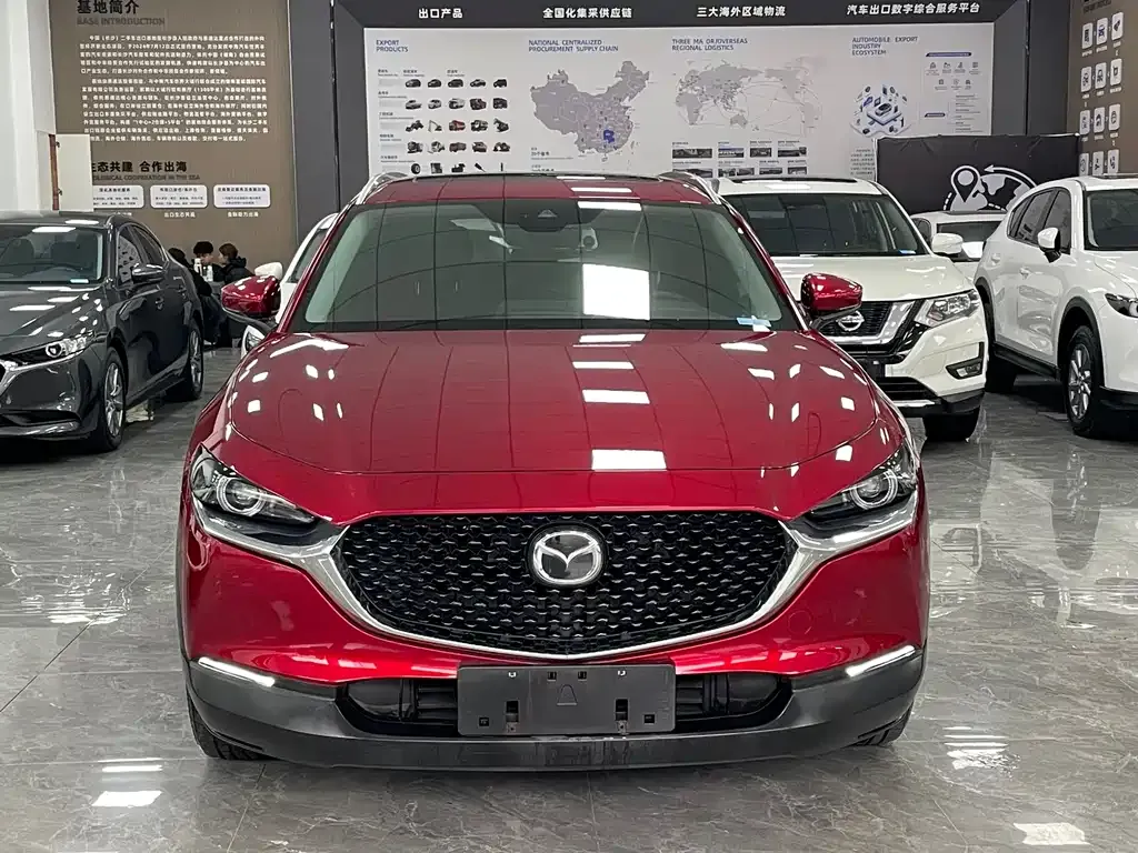 Mazda CX-30 2022 из CN, фото 10