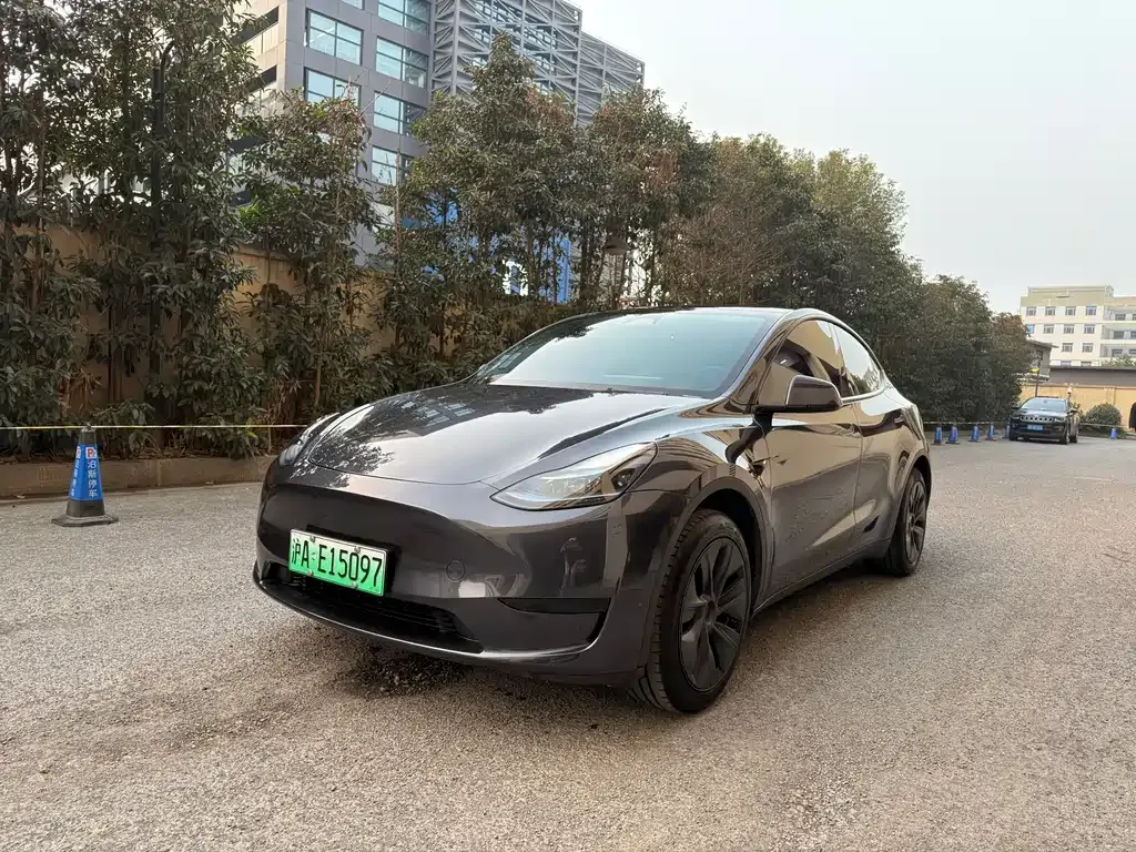 Tesla Model Y 2024 из CN, фото 1
