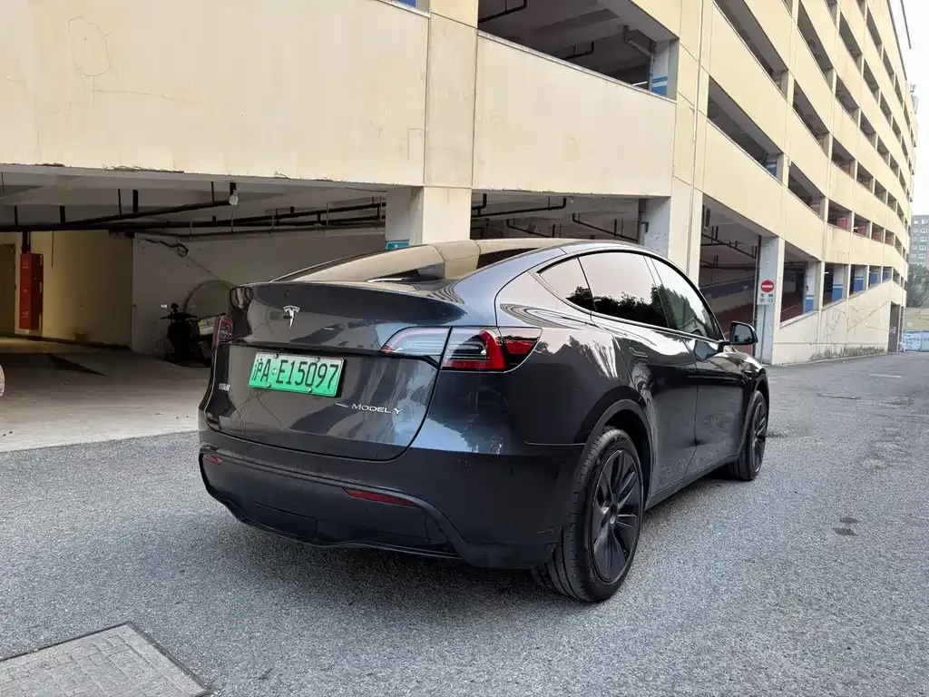 Tesla Model Y 2024 из CN, фото 6