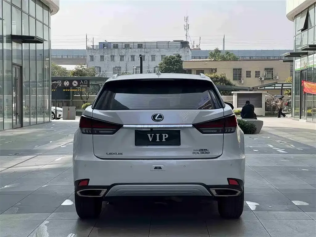 Lexus RX 2021 из CN, фото 6