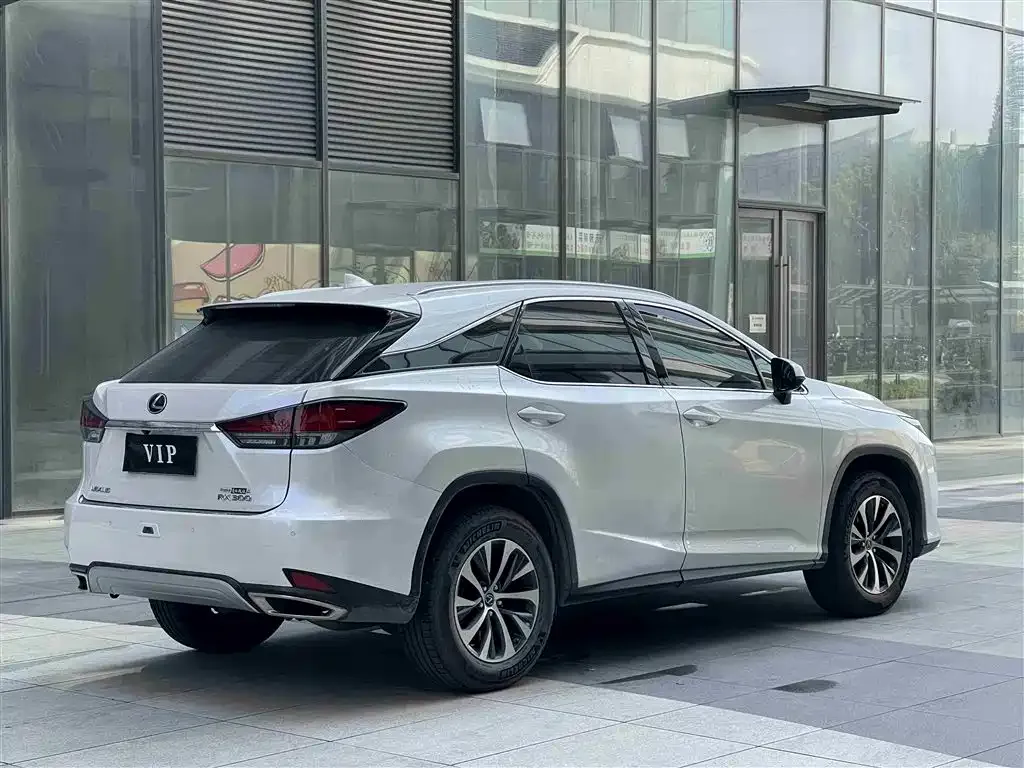 Lexus RX 2021 из CN, фото 8
