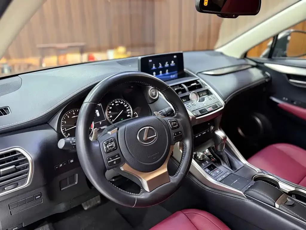Lexus NX 2021 из CN, фото 2