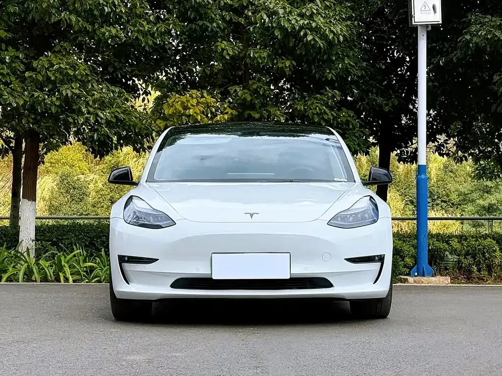 Tesla Model 3 2022 из CN, фото 4