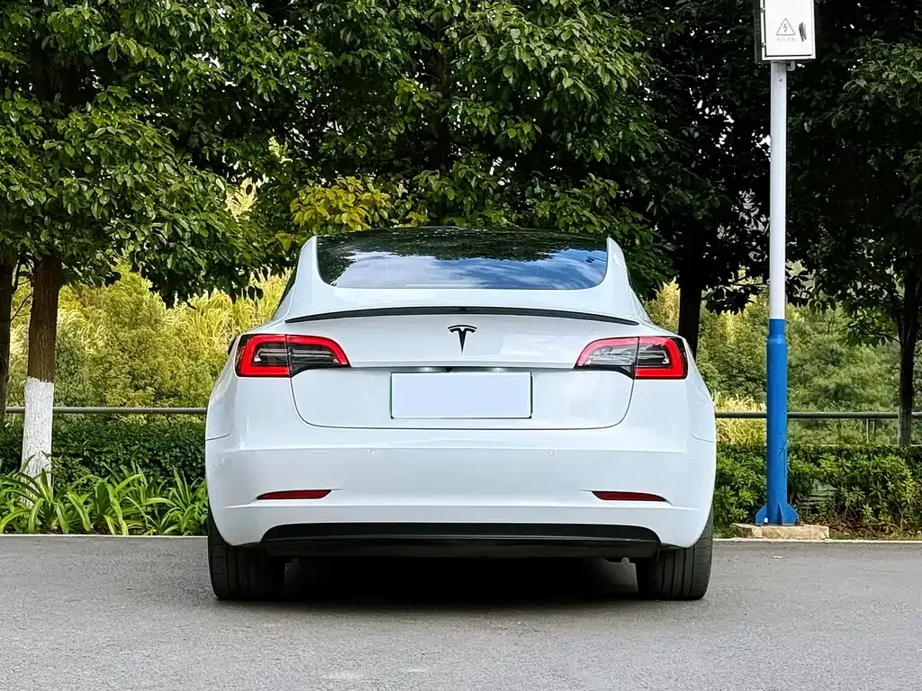 Tesla Model 3 2022 из CN, фото 8