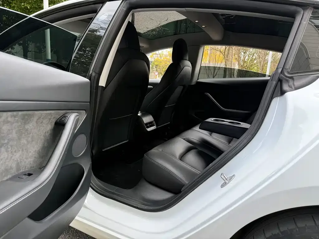 Tesla Model 3 2022 из CN, фото 6