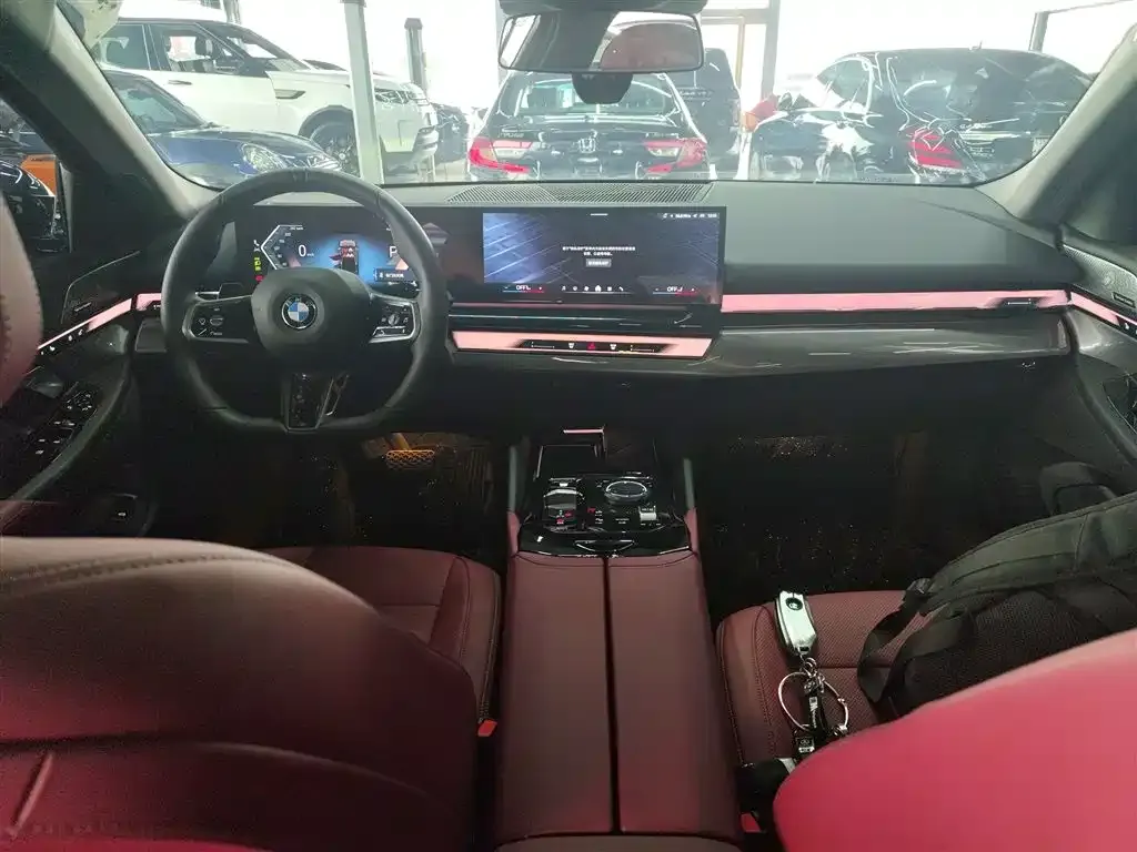 BMW 5 Series 2025 из CN, фото 6