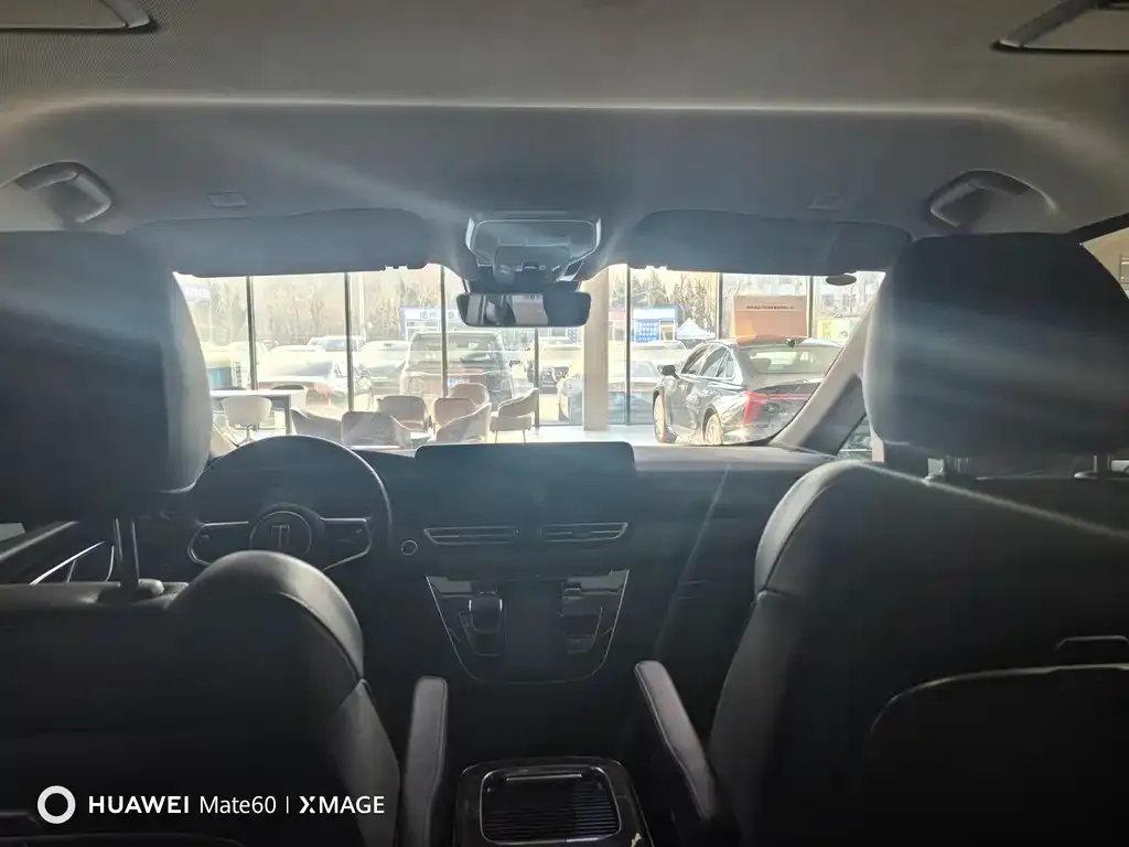 Hongqi HQ9 2023 из CN, фото 10