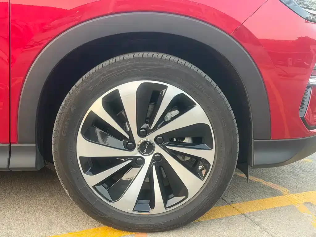 BYD PLUS New Energy — фото 4