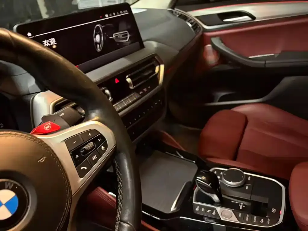 BMW X4 2022 из CN, фото 3