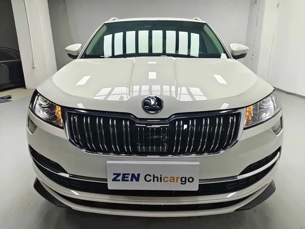 Skoda Karoq 2022 из CN, фото 1