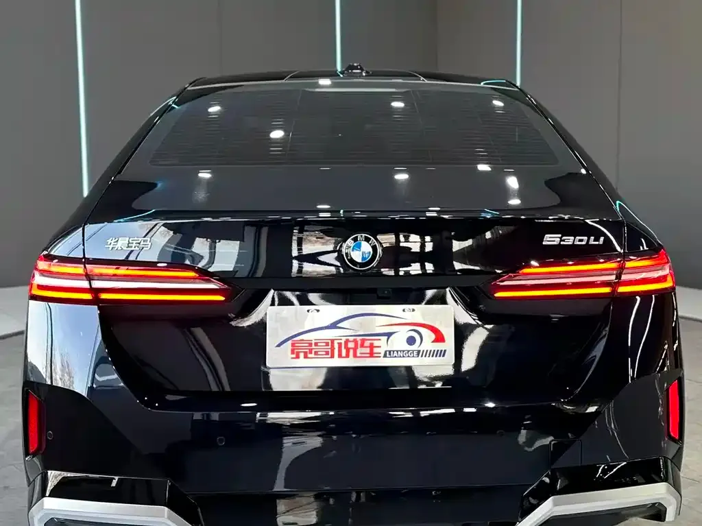 BMW 5 Series 2024 из CN, фото 2