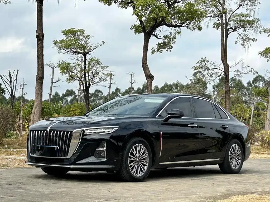 Hongqi H5 2023 из CN, фото 1