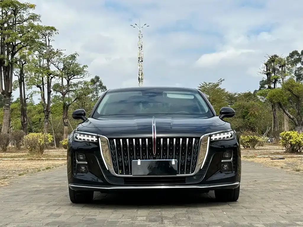 Hongqi H5 2023 из CN, фото 9