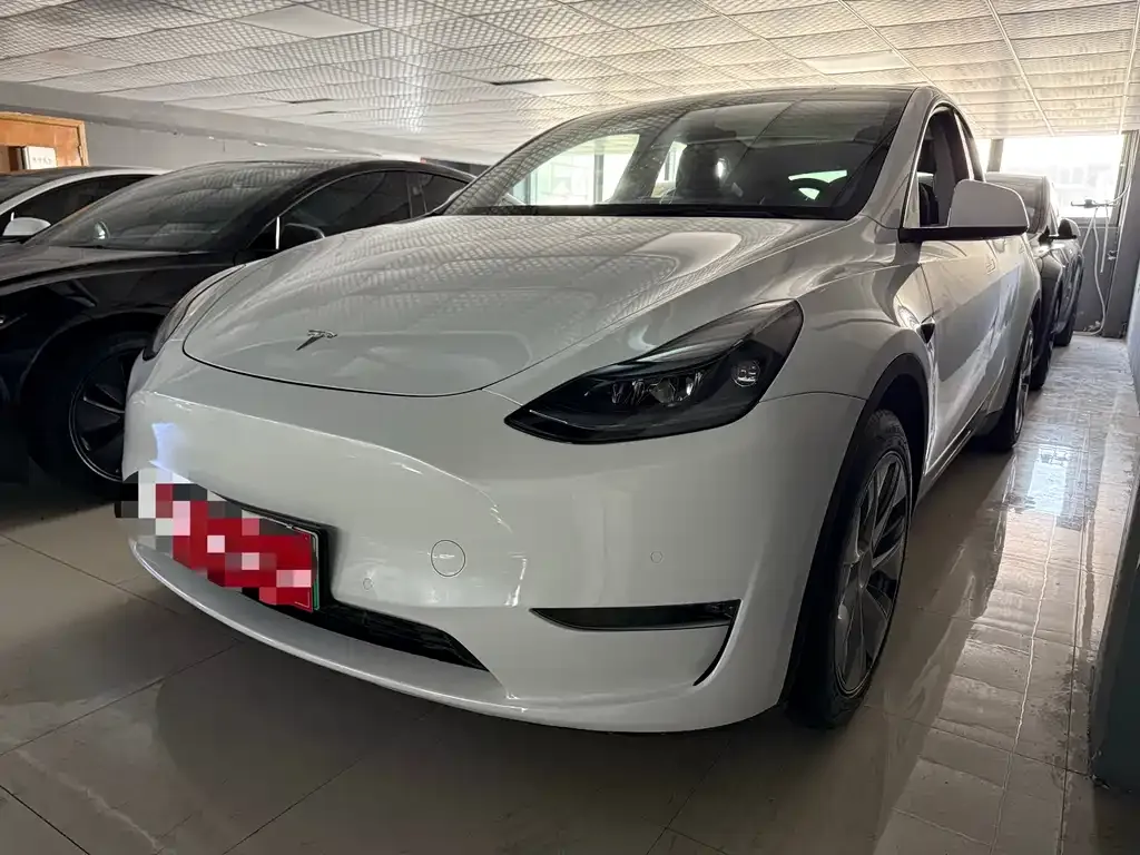Tesla Model Y 2021 из CN, фото 1
