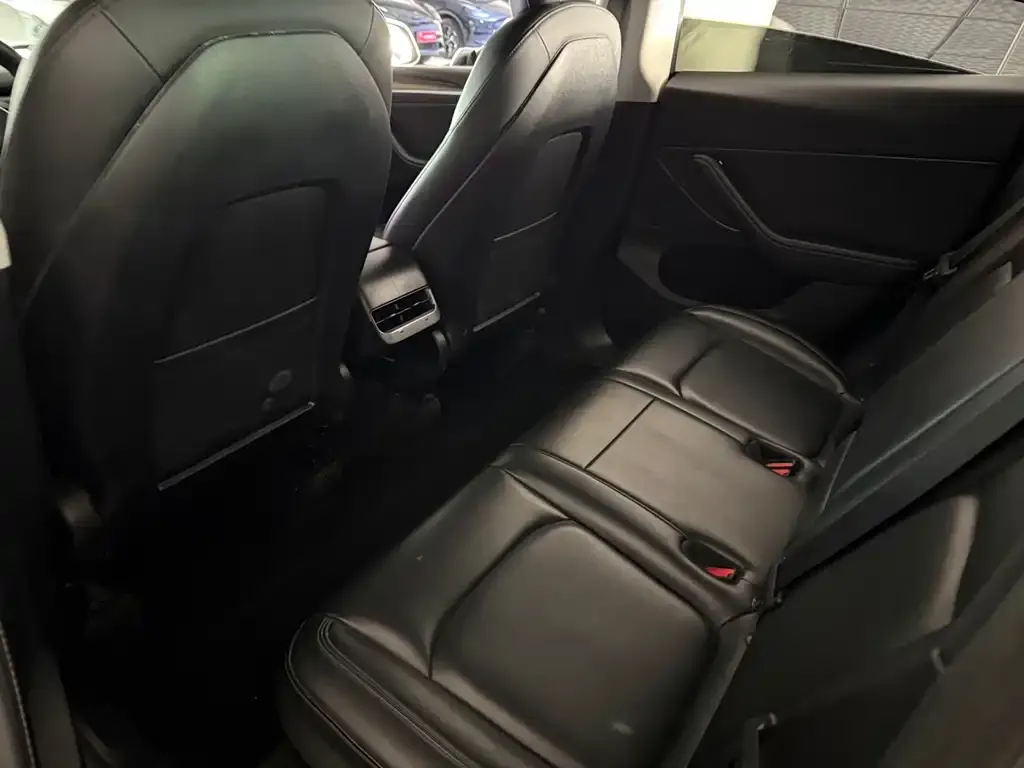 Tesla Model Y 2021 из CN, фото 2