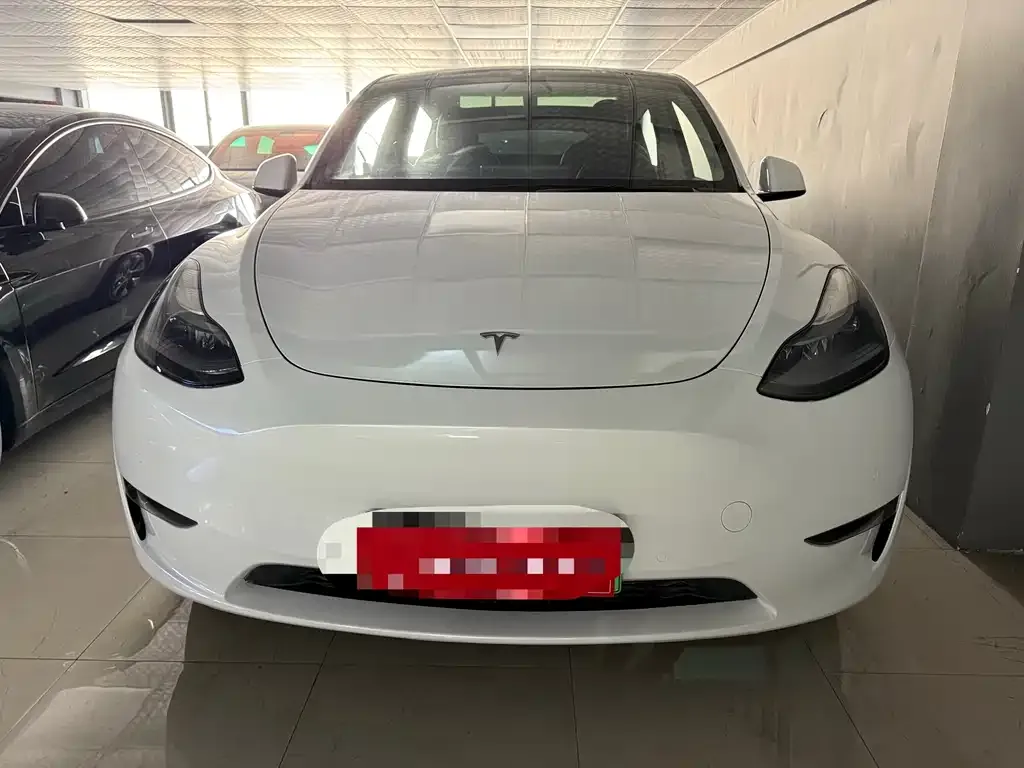 Tesla Model Y 2021 из CN, фото 6