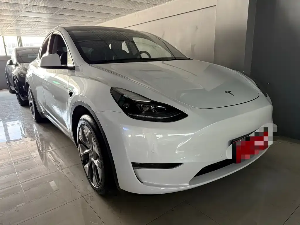 Tesla Model Y 2021 из CN, фото 10