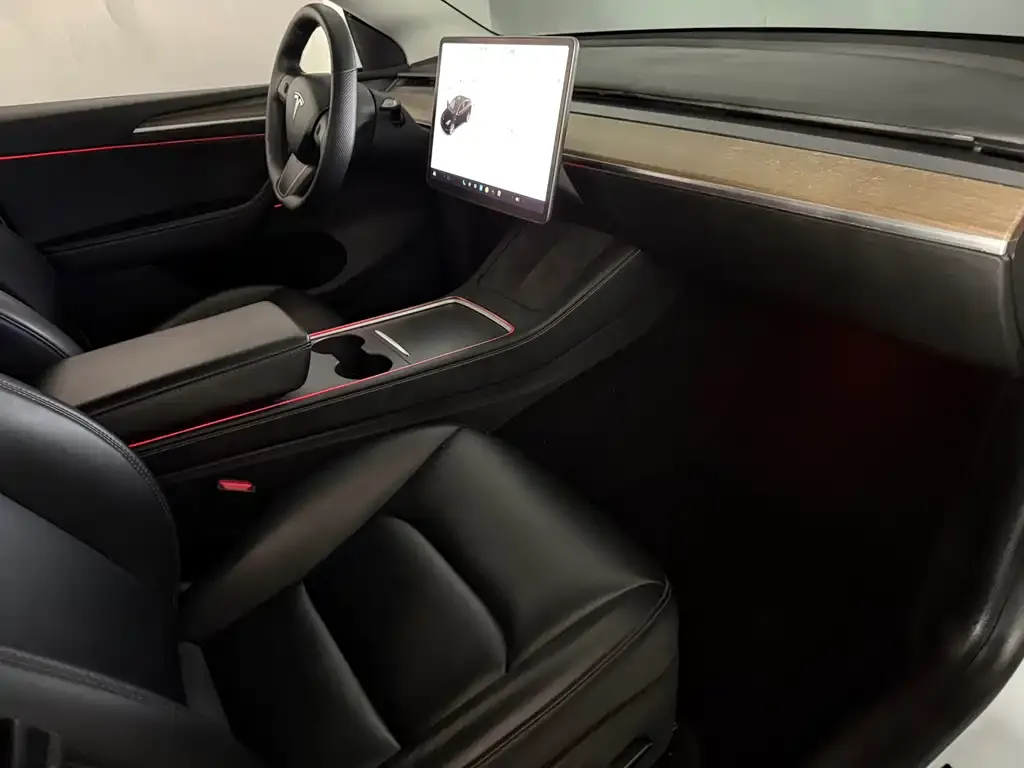 Tesla Model Y 2021 из CN, фото 8