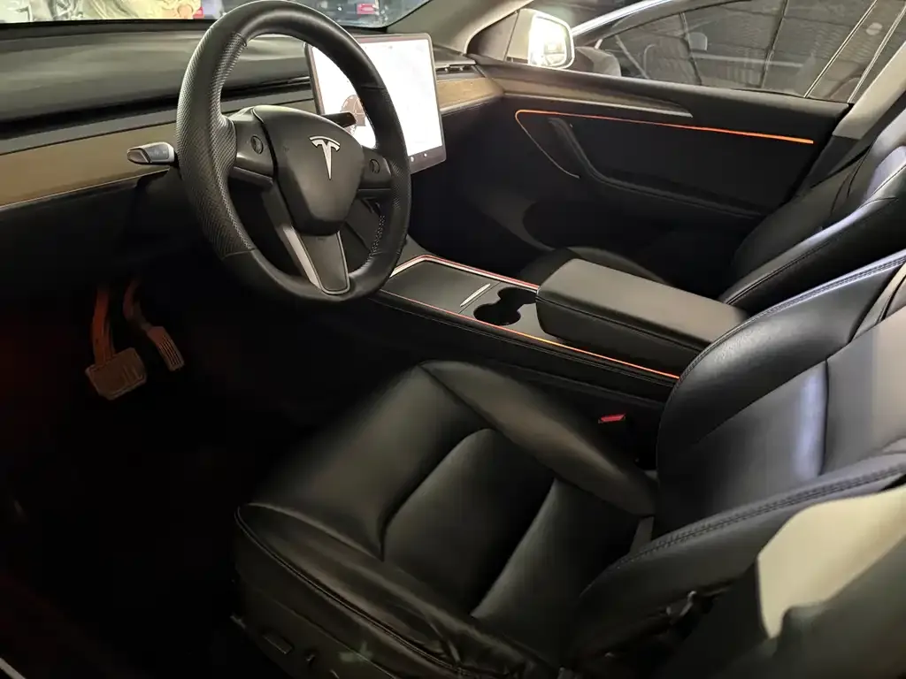 Tesla Model Y 2021 из CN, фото 5