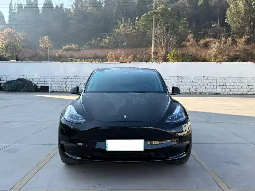 Tesla Model Y 2023 из CN, фото 9